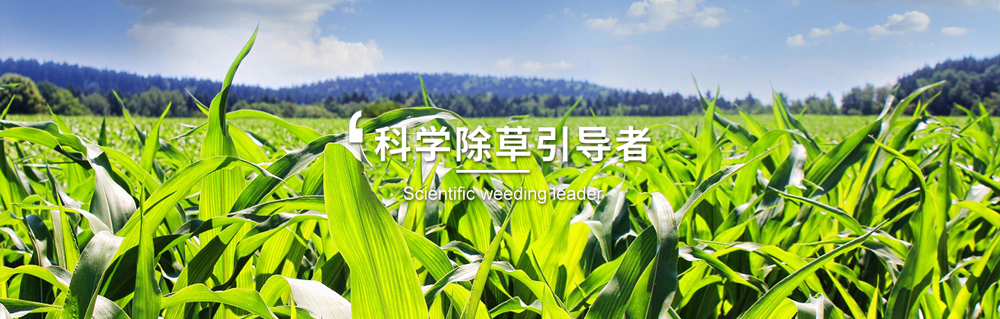 天津經(jīng)作類(lèi)除草劑訂購(gòu)、天津高粱田除草劑
